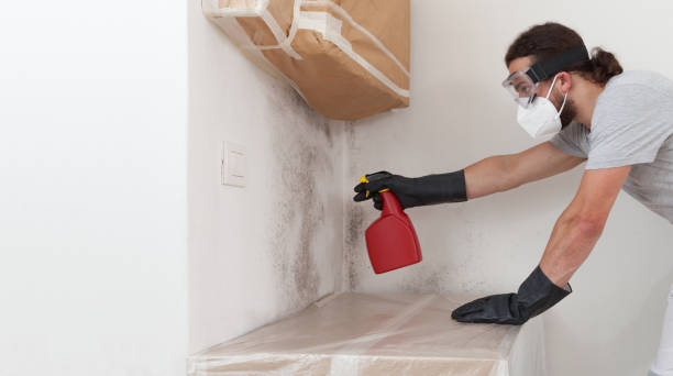 Professional Bathroom Mold Removal technician working in Lockport, NY
